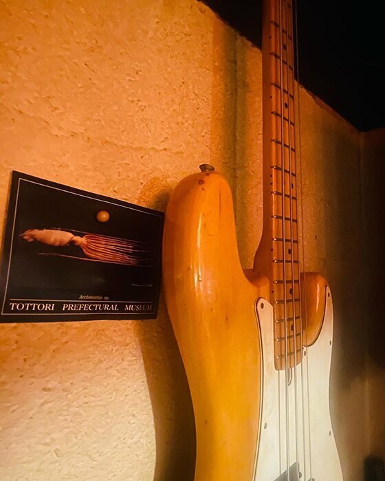 Bass