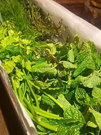 Herbs